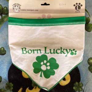 I See Spot St. Patrick's Day Pet Bandana